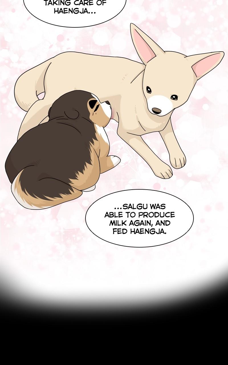 The Dog Diaries Chap 123 - Next Chap 124
