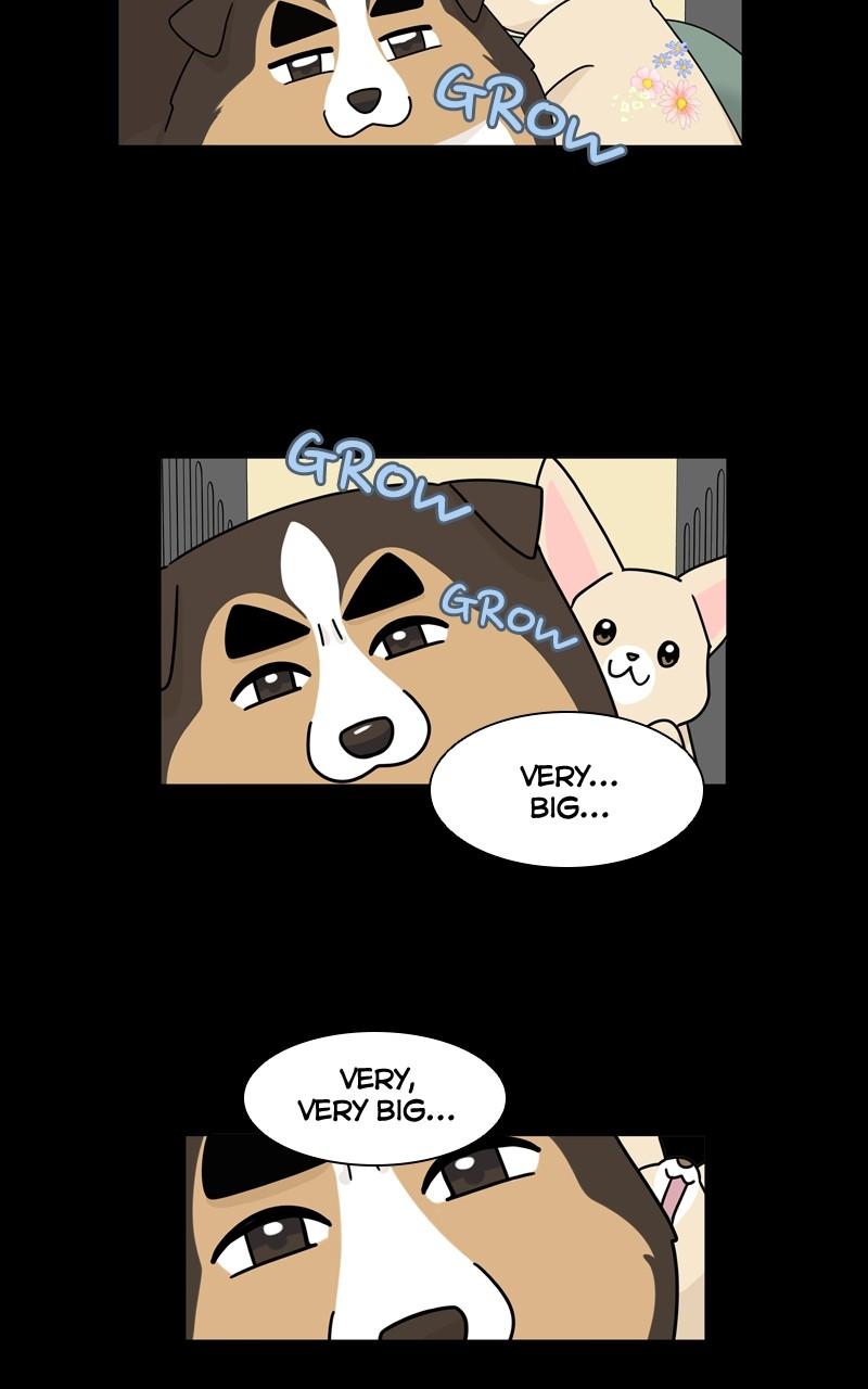 The Dog Diaries Chap 123 - Next Chap 124