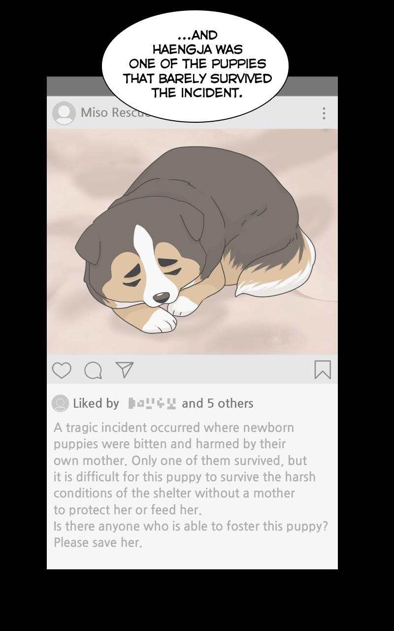 The Dog Diaries Chap 123 - Next Chap 124