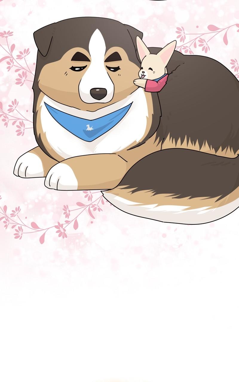 The Dog Diaries Chap 123 - Next Chap 124