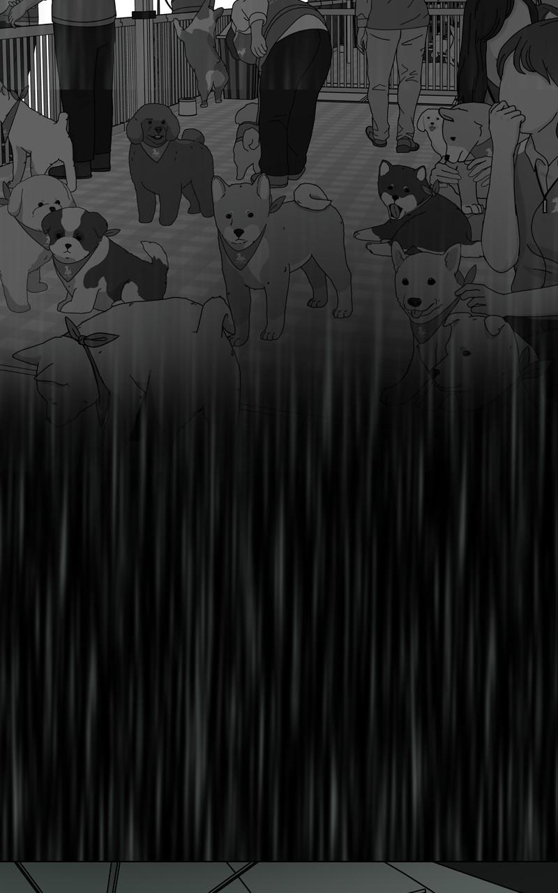 The Dog Diaries Chap 123 - Next Chap 124