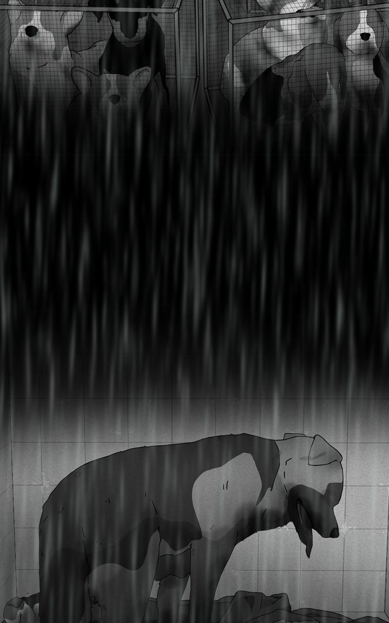 The Dog Diaries Chap 123 - Next Chap 124