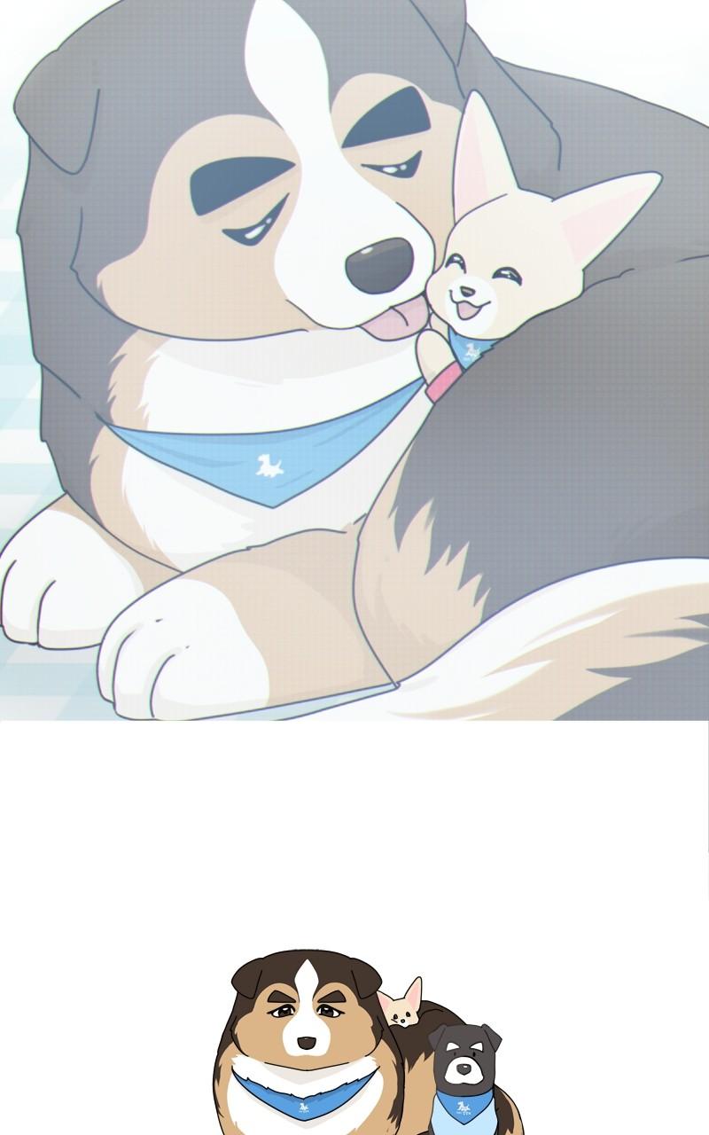 The Dog Diaries Chap 123 - Next Chap 124