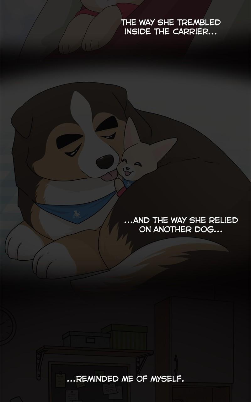 The Dog Diaries Chap 126 - Next Chap 127