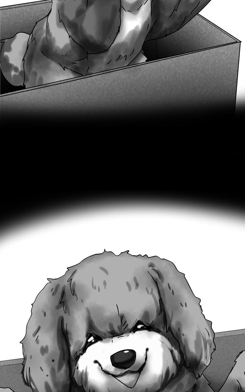 The Dog Diaries Chap 118 - Next Chap 119