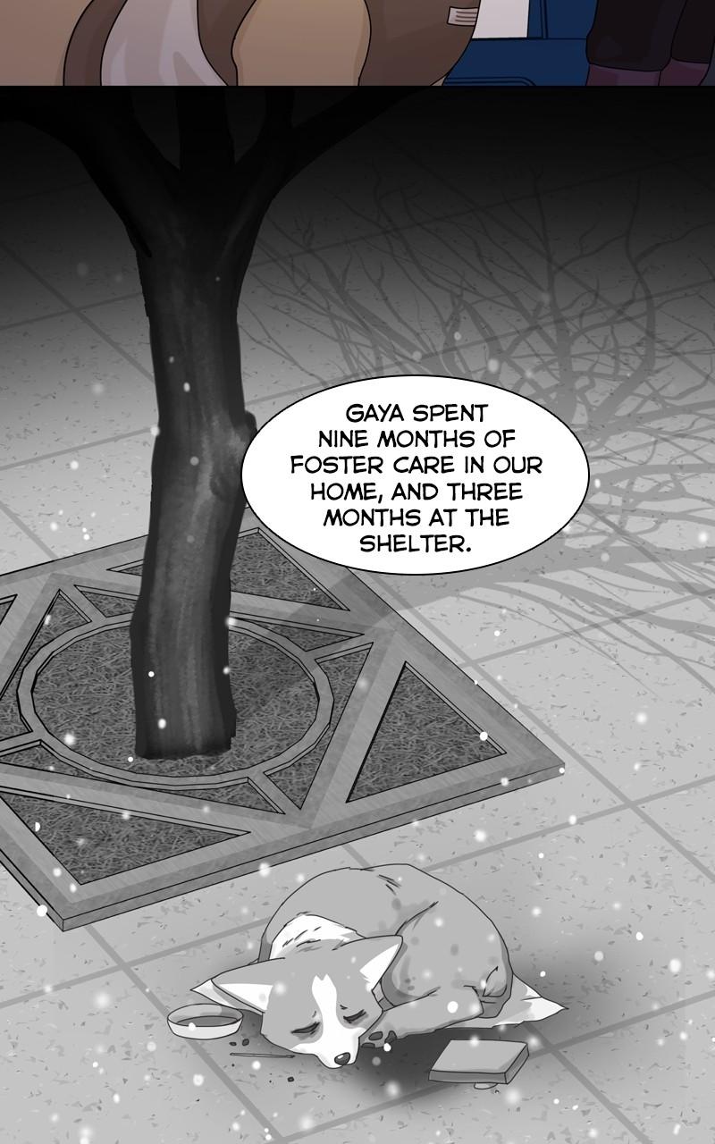 The Dog Diaries Chap 135 - Next Chap 136