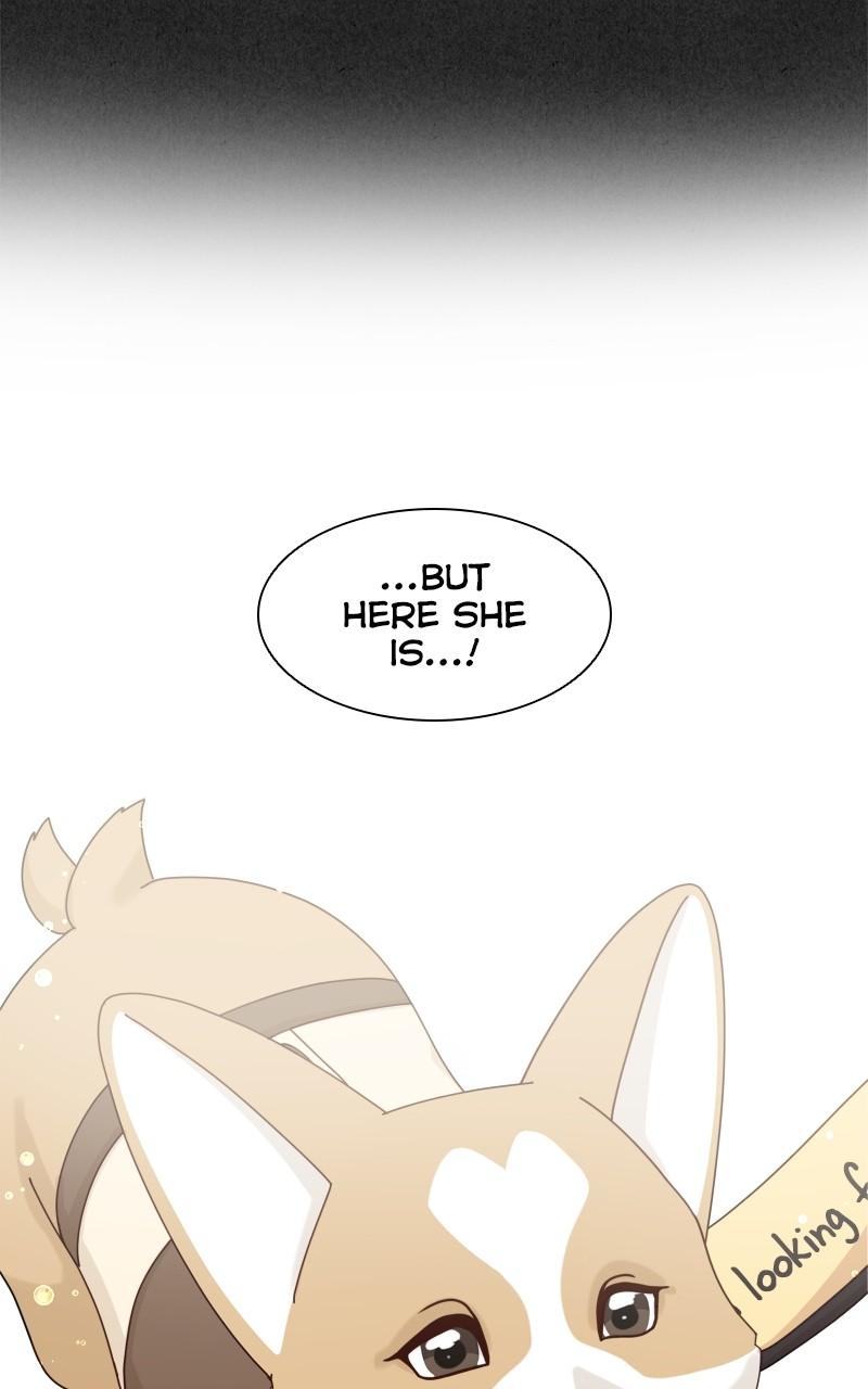 The Dog Diaries Chap 135 - Next Chap 136