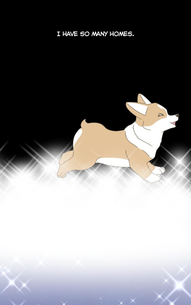 The Dog Diaries Chap 135 - Next Chap 136
