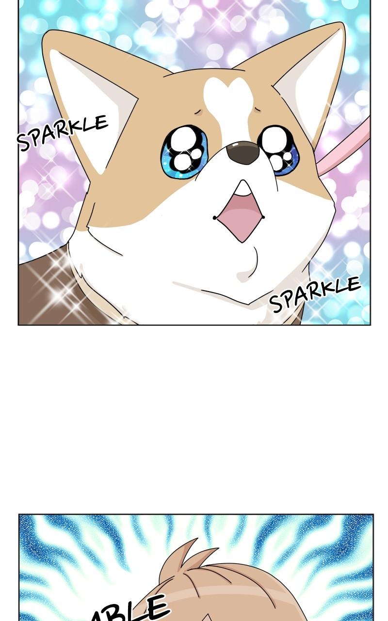 The Dog Diaries Chap 135 - Next Chap 136