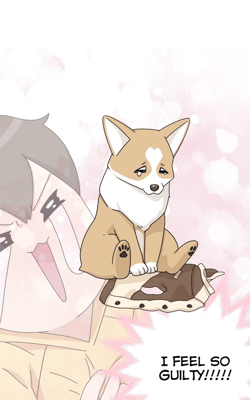 The Dog Diaries Chap 132 - Next Chap 133