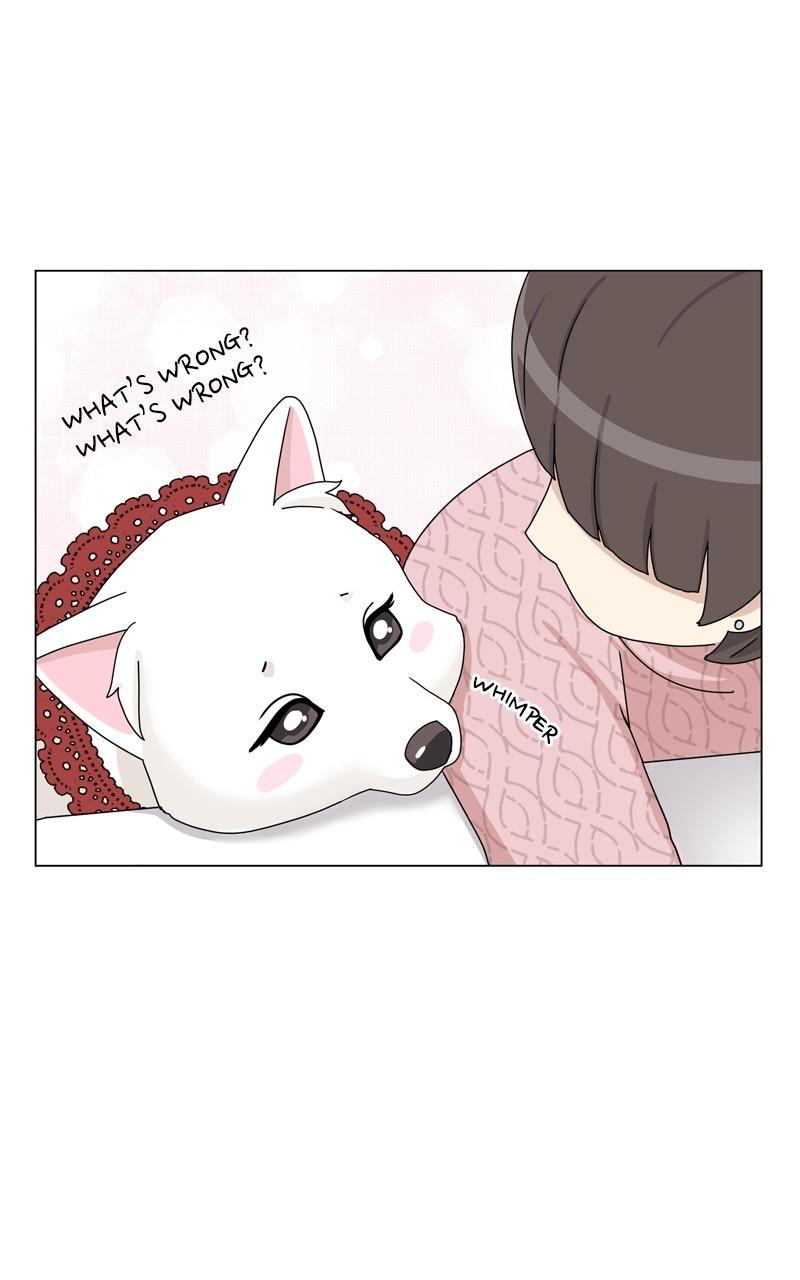 The Dog Diaries Chap 133 - Next Chap 134