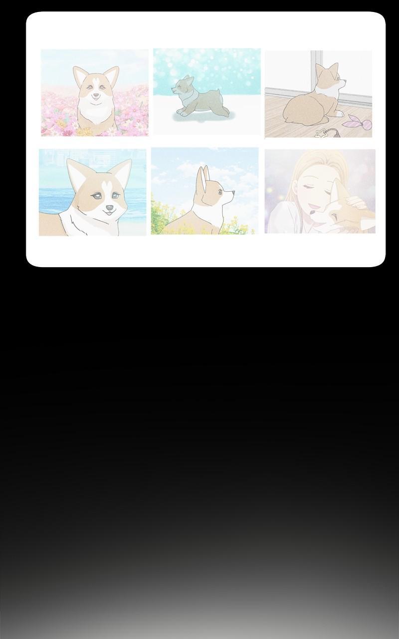 The Dog Diaries Chap 133 - Next Chap 134