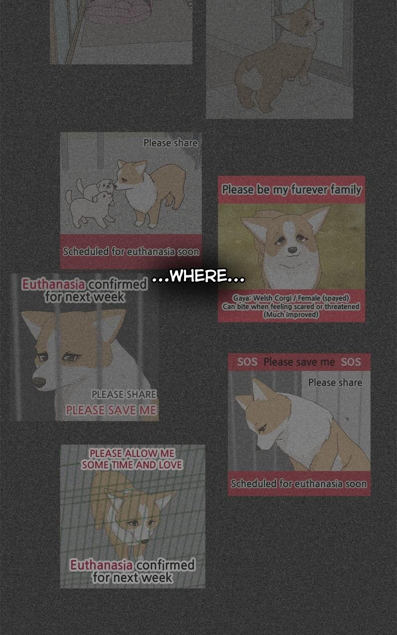 The Dog Diaries Chap 134 - Next Chap 135