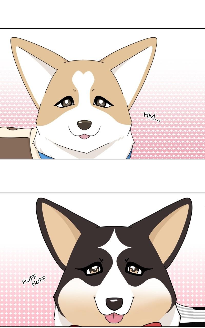 The Dog Diaries Chap 134 - Next Chap 135