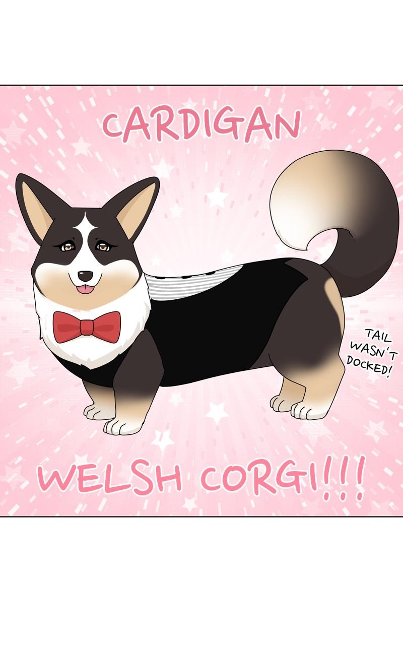The Dog Diaries Chap 134 - Next Chap 135