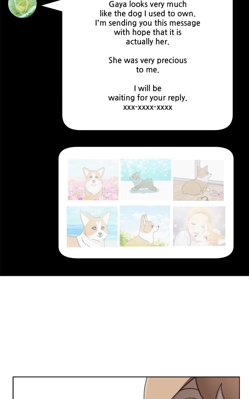 The Dog Diaries Chap 134 - Next Chap 135