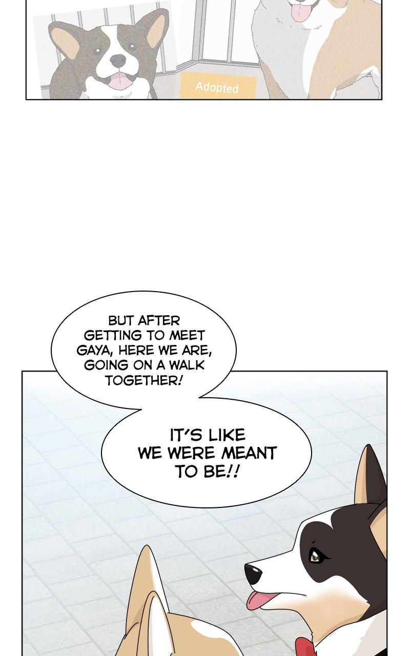 The Dog Diaries Chap 134 - Next Chap 135