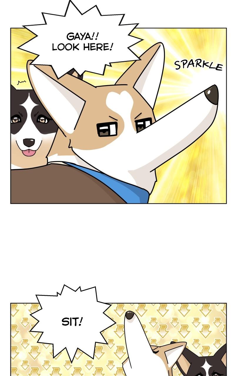 The Dog Diaries Chap 136 - Next Chap 137