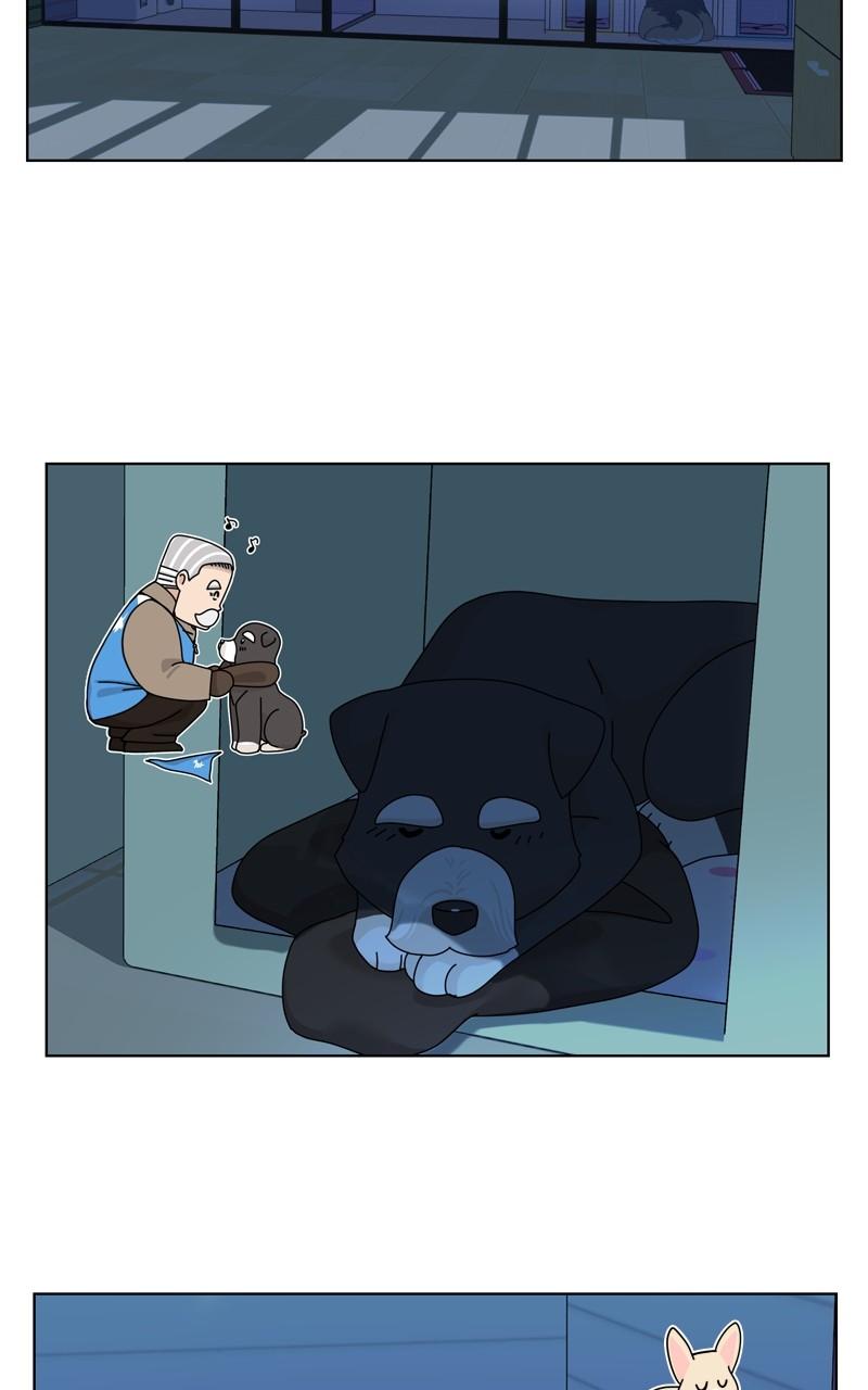 The Dog Diaries Chap 129 - Next Chap 130