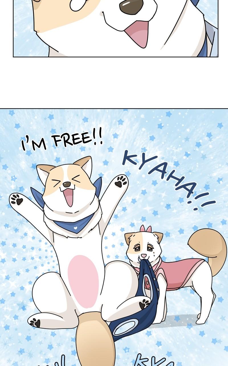 The Dog Diaries Chap 131 - Next Chap 132