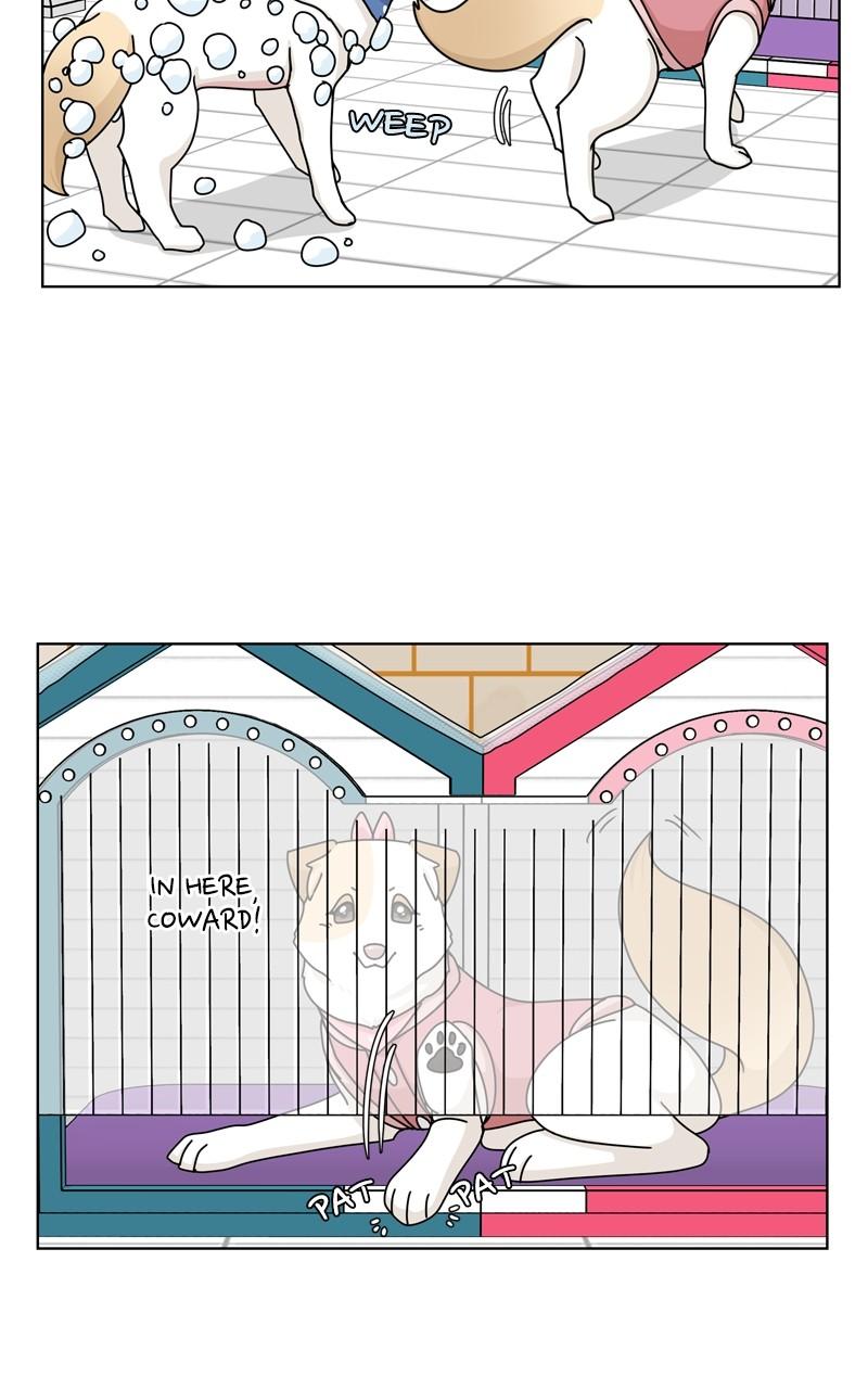 The Dog Diaries Chap 131 - Next Chap 132