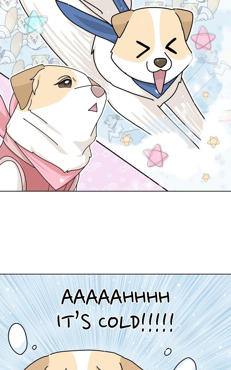The Dog Diaries Chap 131 - Next Chap 132