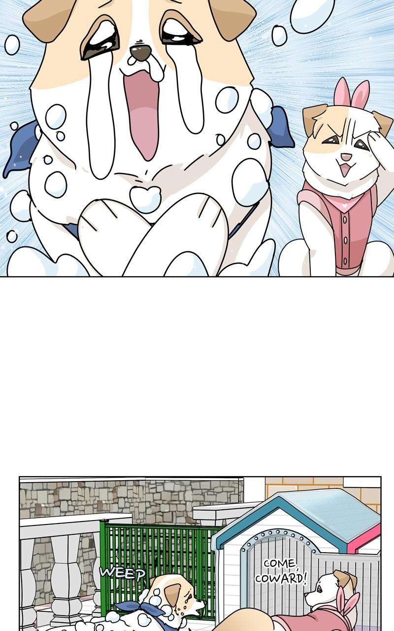 The Dog Diaries Chap 131 - Next Chap 132