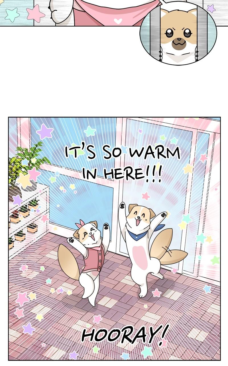 The Dog Diaries Chap 131 - Next Chap 132