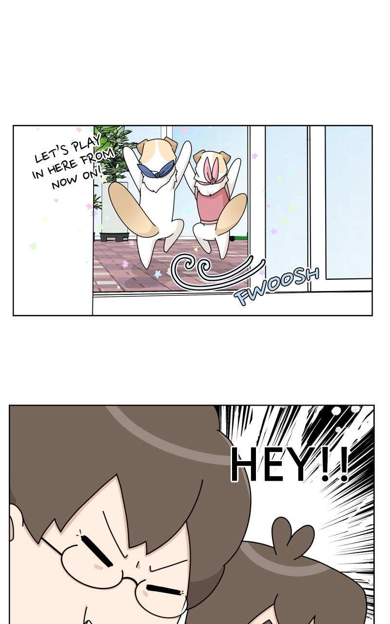 The Dog Diaries Chap 131 - Next Chap 132