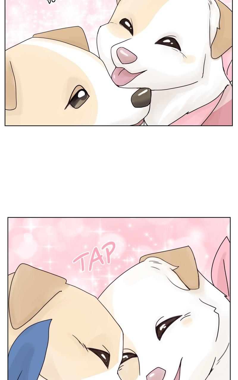 The Dog Diaries Chap 131 - Next Chap 132