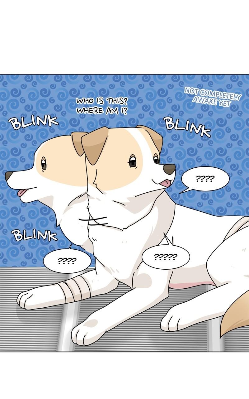 The Dog Diaries Chap 142 - Next Chap 143