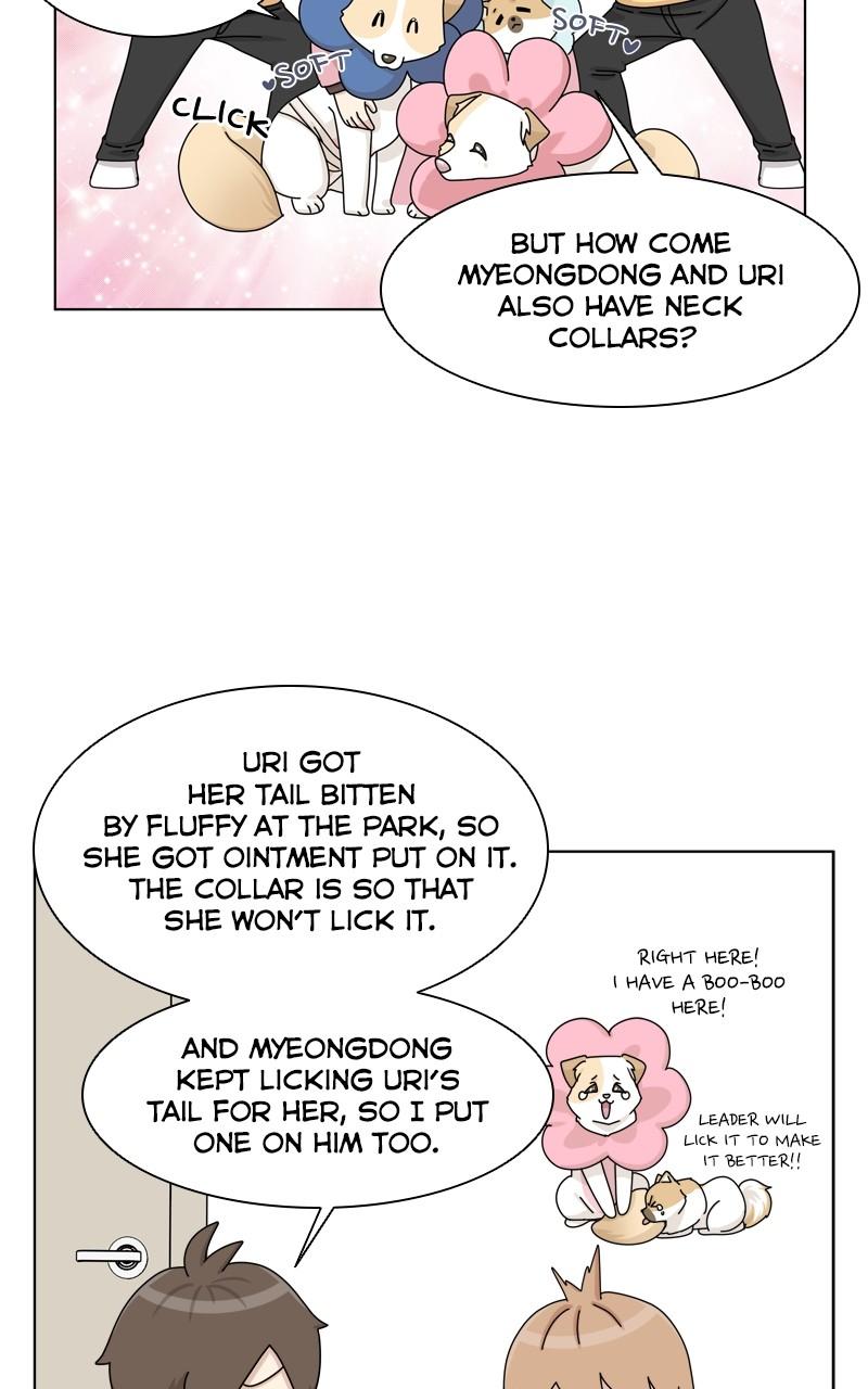 The Dog Diaries Chap 142 - Next Chap 143