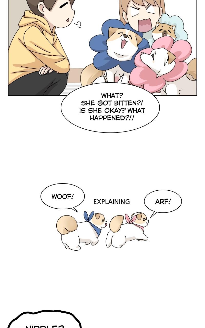 The Dog Diaries Chap 142 - Next Chap 143
