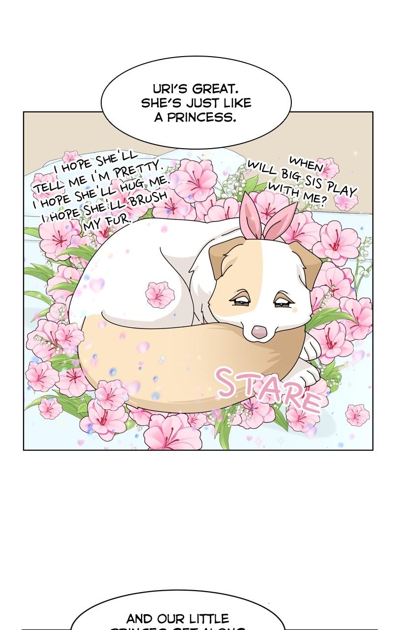 The Dog Diaries Chap 143 - Next Chap 144