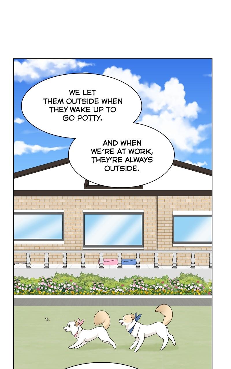The Dog Diaries Chap 143 - Next Chap 144