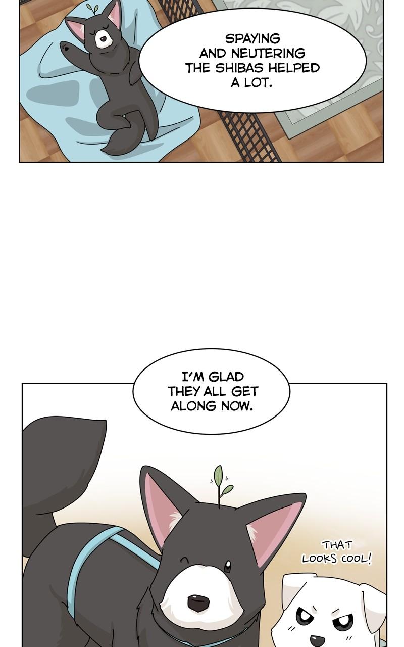 The Dog Diaries Chap 144 - Next Chap 145