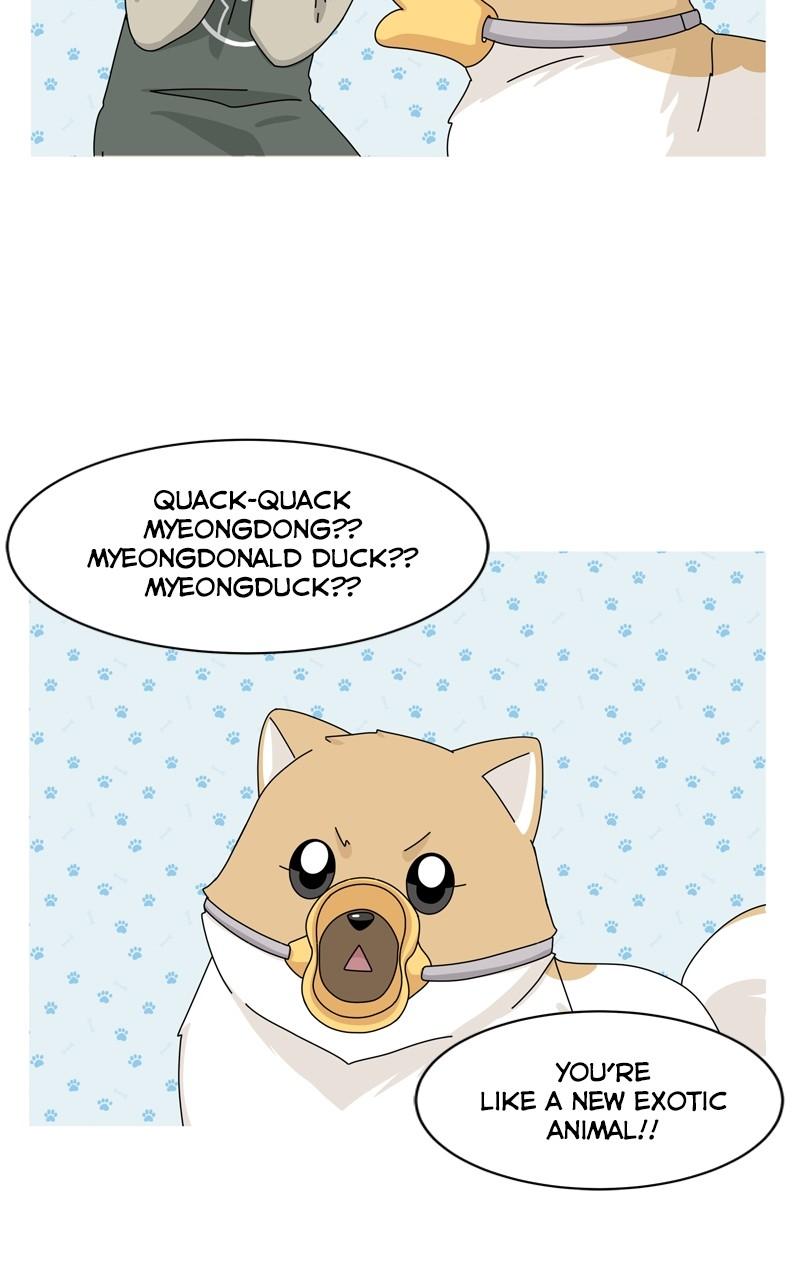 The Dog Diaries Chap 146 - Next Chap 147