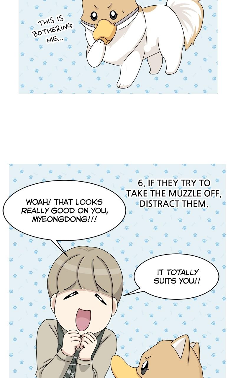The Dog Diaries Chap 146 - Next Chap 147