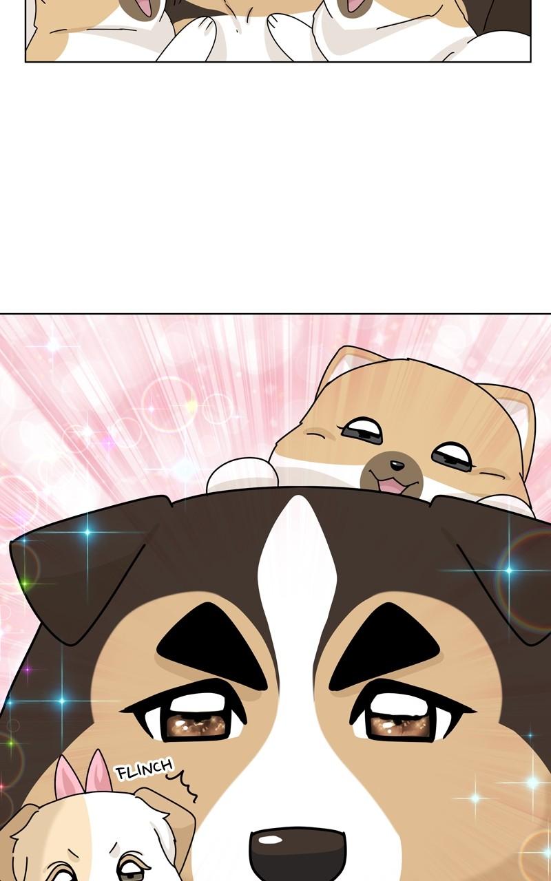 The Dog Diaries Chap 146 - Next Chap 147