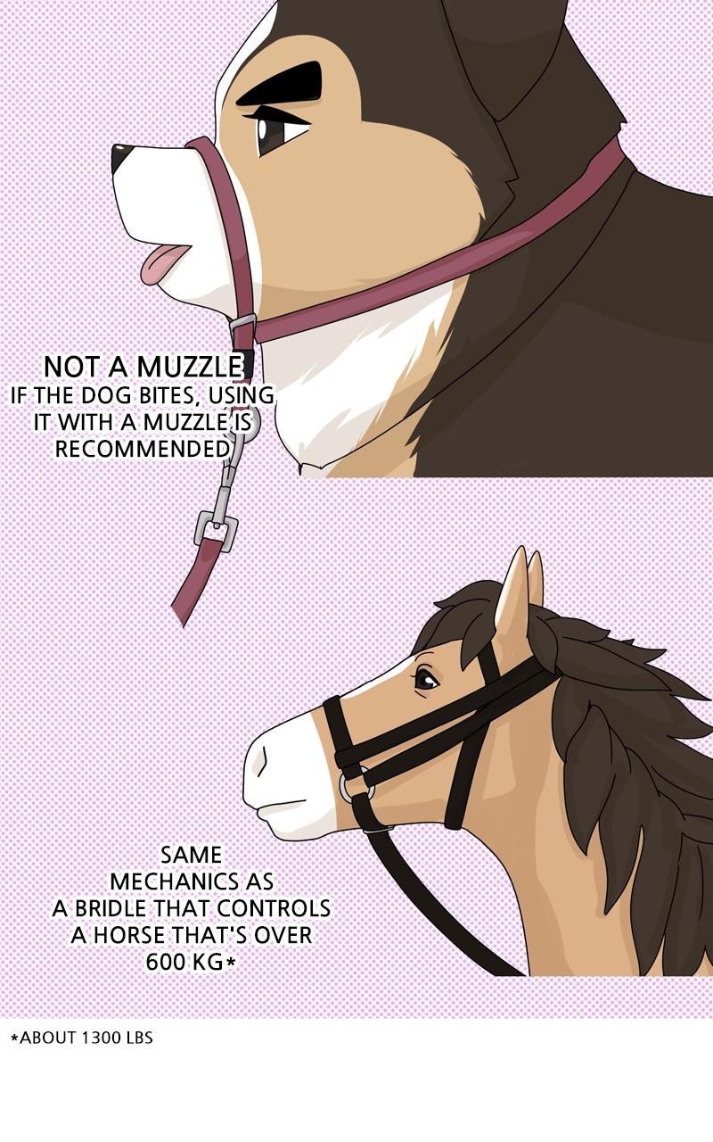 The Dog Diaries Chap 146 - Next Chap 147