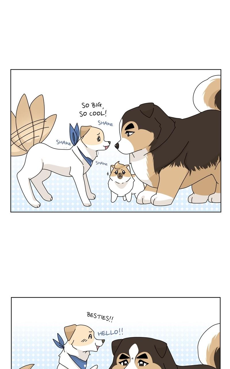 The Dog Diaries Chap 147 - Next Chap 148