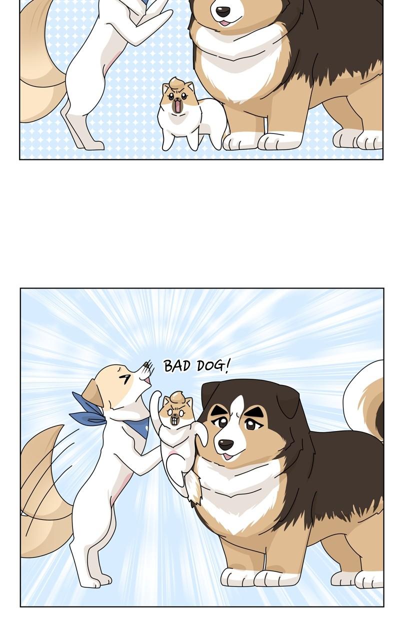 The Dog Diaries Chap 147 - Next Chap 148