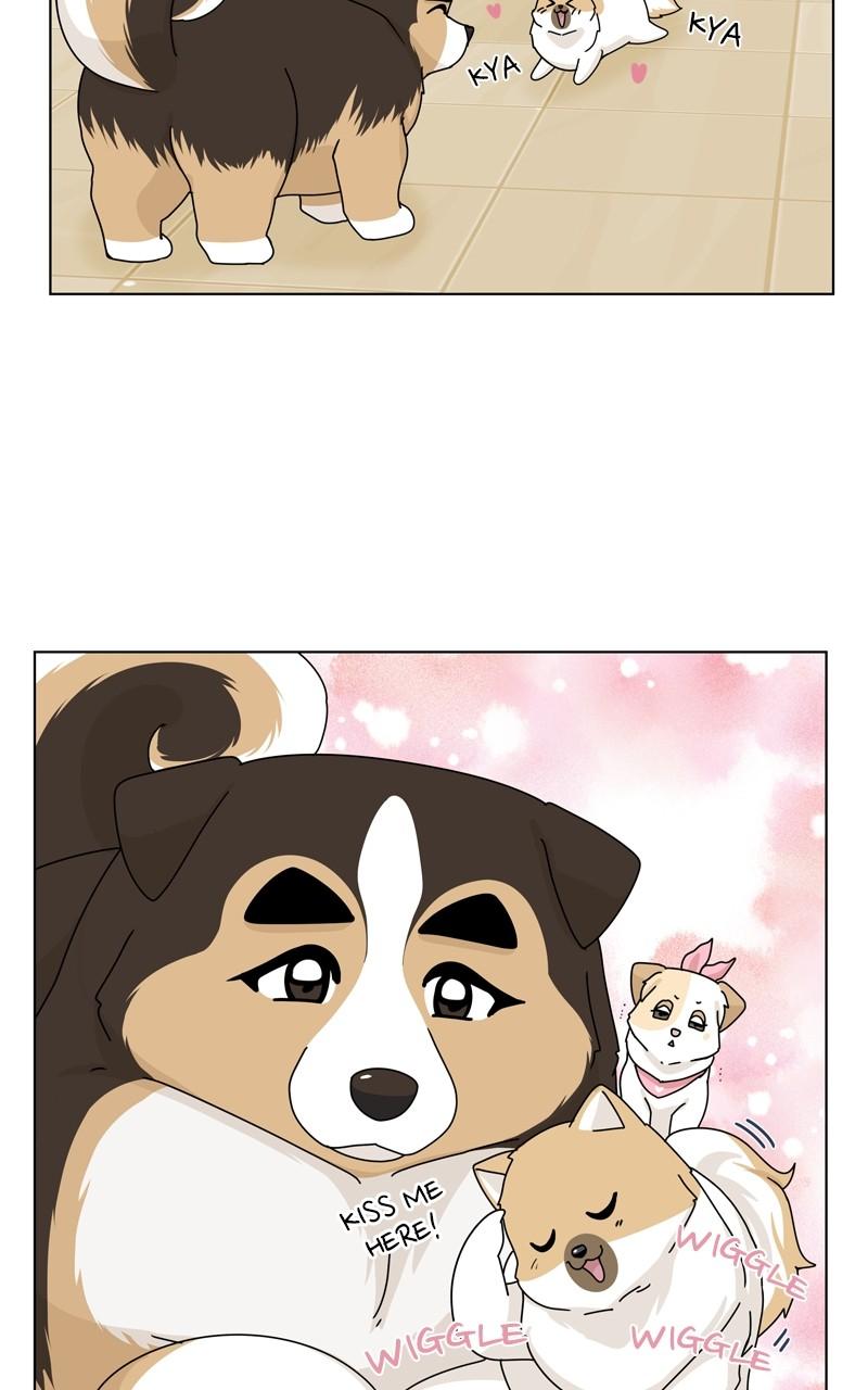 The Dog Diaries Chap 147 - Next Chap 148