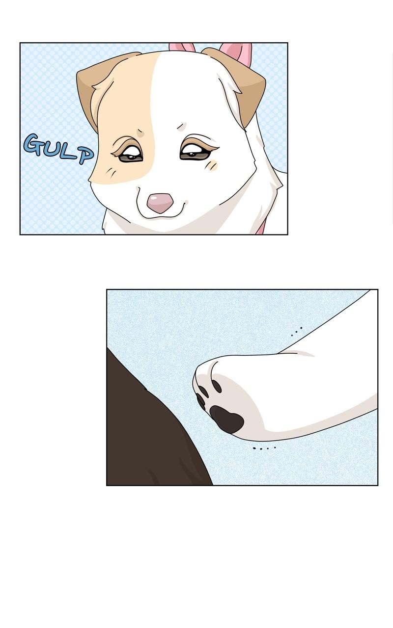 The Dog Diaries Chap 147 - Next Chap 148