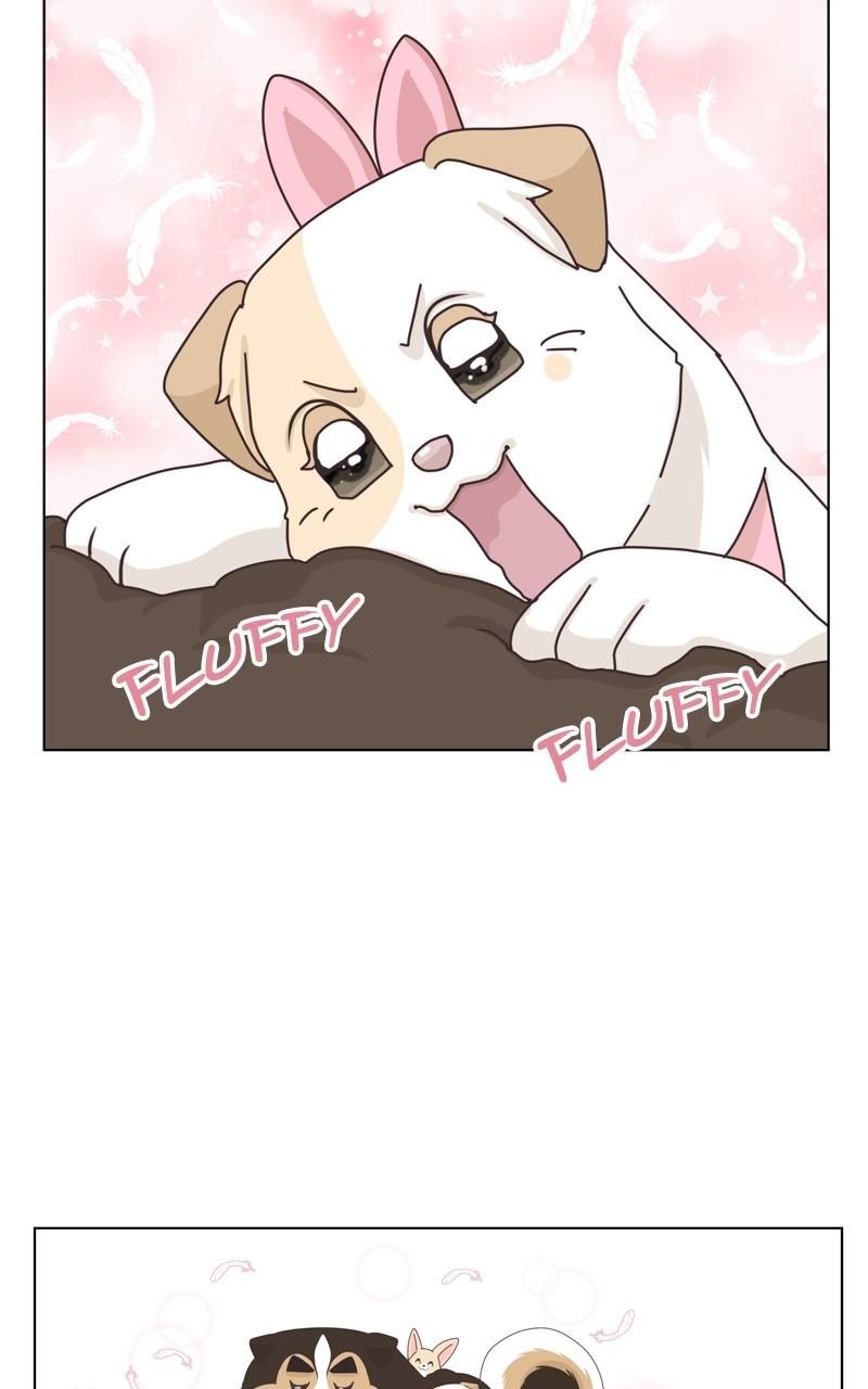 The Dog Diaries Chap 147 - Next Chap 148