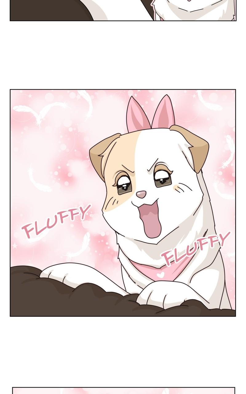The Dog Diaries Chap 147 - Next Chap 148