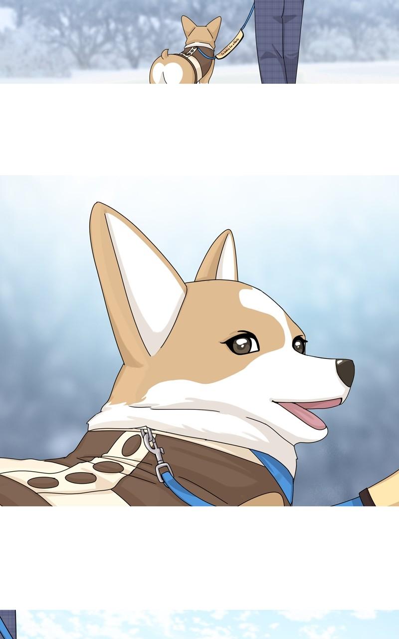 The Dog Diaries Chap 138 - Next Chap 139