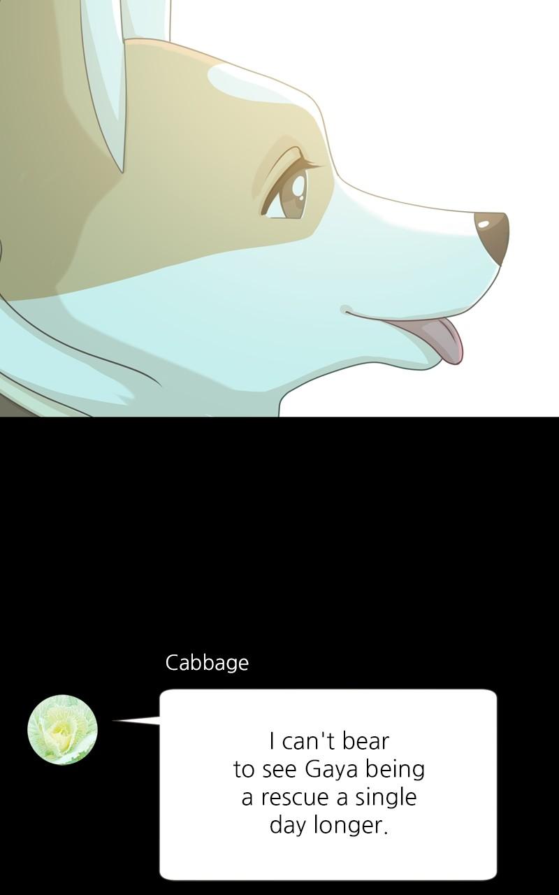 The Dog Diaries Chap 138 - Next Chap 139