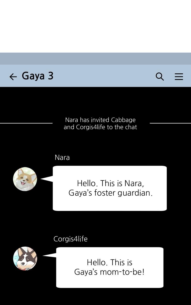 The Dog Diaries Chap 138 - Next Chap 139