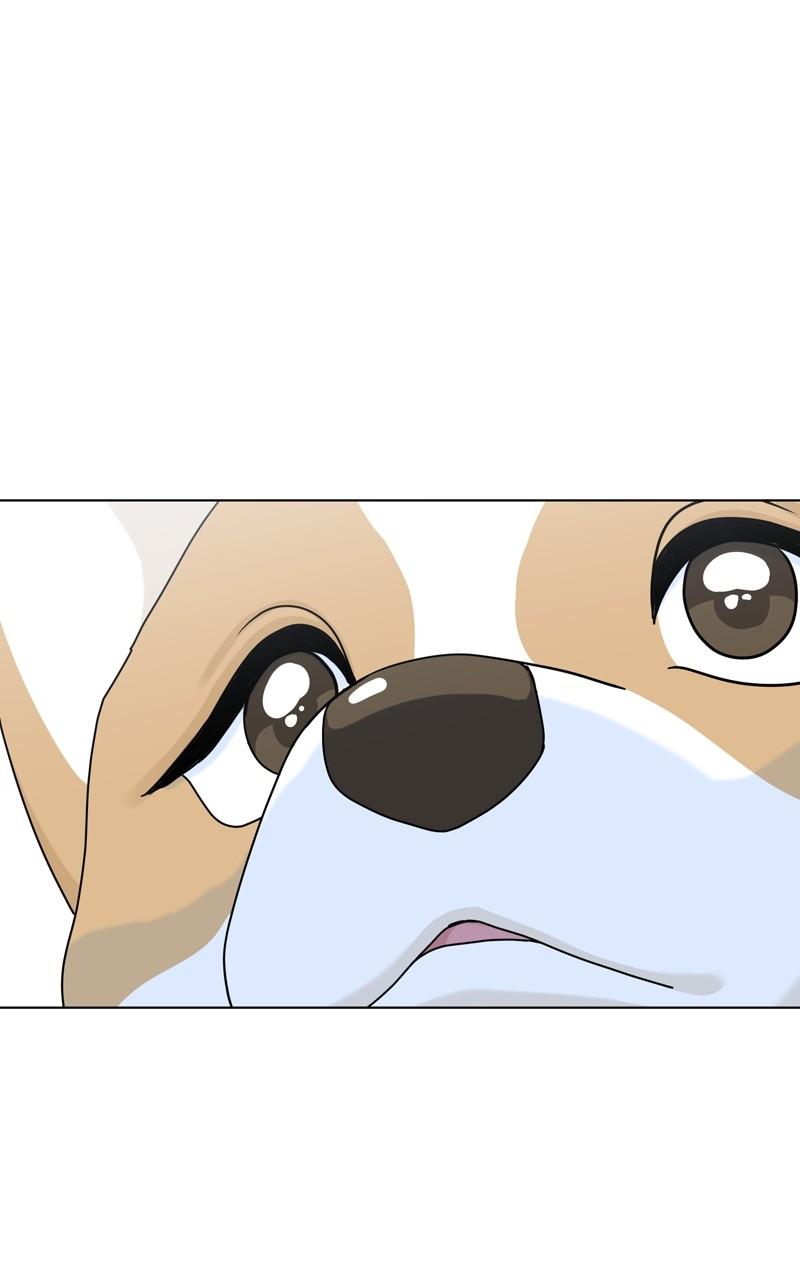 The Dog Diaries Chap 138 - Next Chap 139
